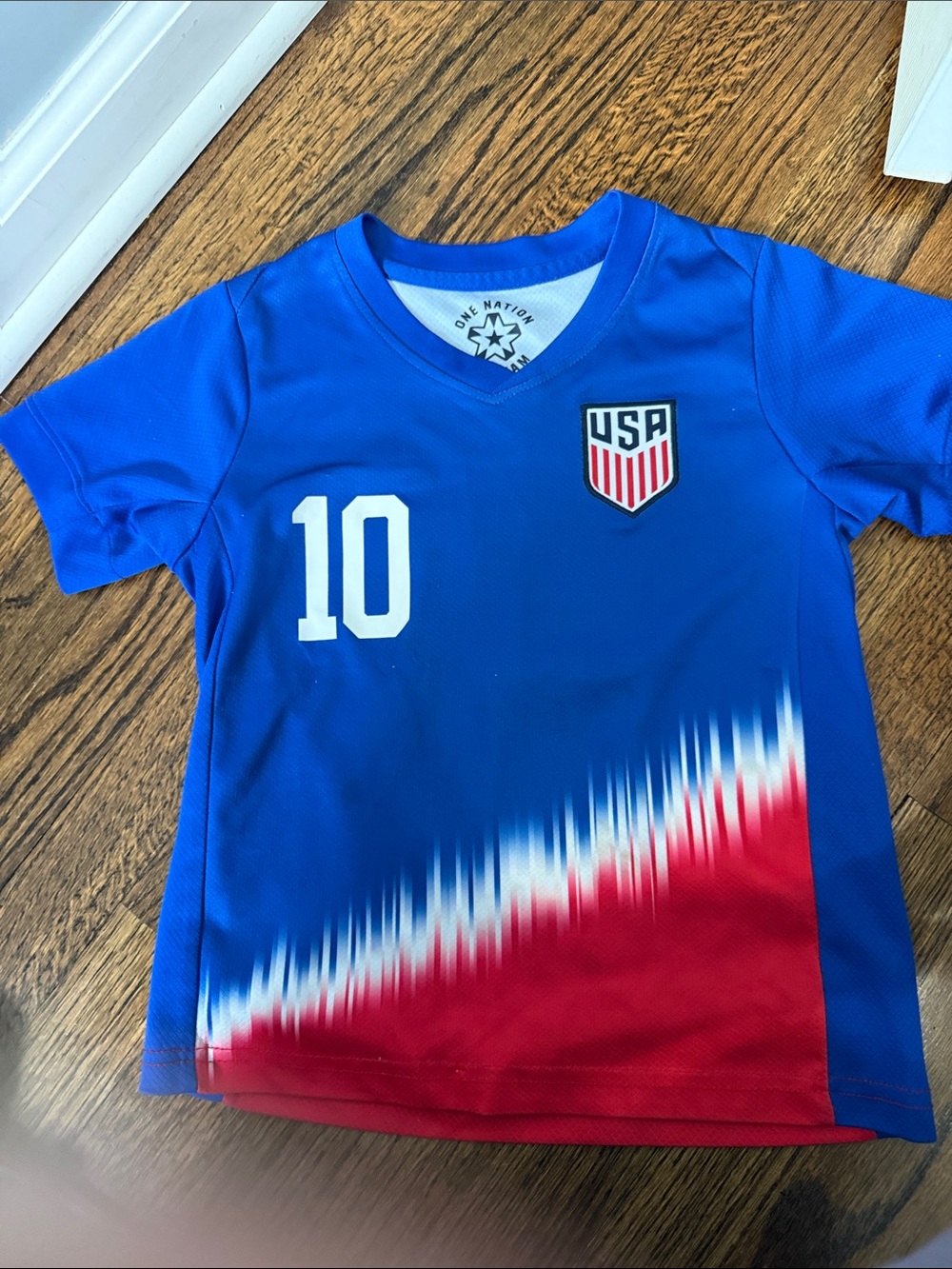 USA Blue & Red Kids Soccer Jersey - #10